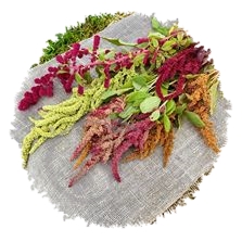 Amarantes en mélange