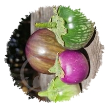 Arroche triple rouge