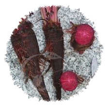 Betterave Crapaudine