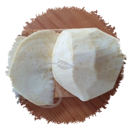 graine et semence Céleri-rave Boule de marbre