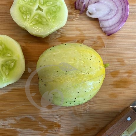 graine et semence Concombre Lemon