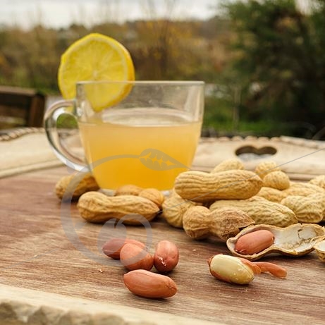 graine et semence Cacahuète Arachide