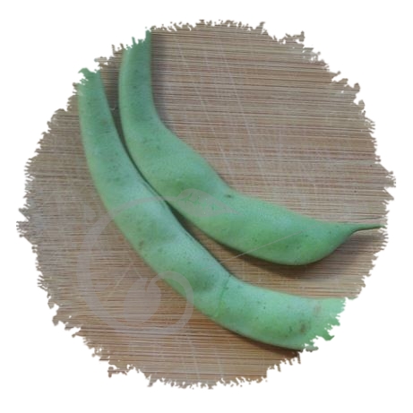 graine et semence Haricot nain mangetout plat vert Nassau