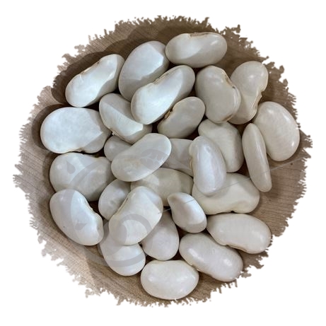 graine et semence Haricot à rame à écosser Soissons blanc