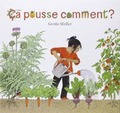 graine et semence Ca pousse comment?