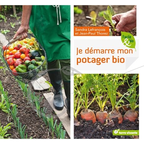 graine et semence Je démarre mon potager bio