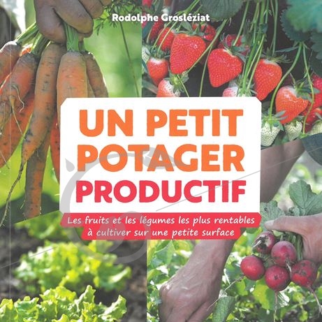 graine et semence Un petit potager productif