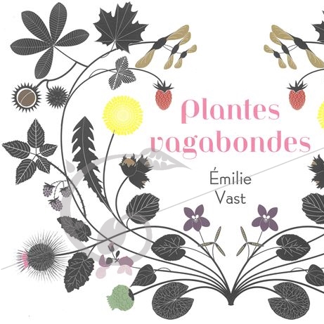 graine et semence Plantes vagabondes