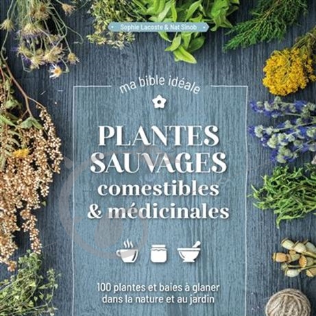 graine et semence Plantes sauvages comestibles et médicinales