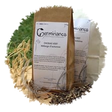 Engrais vert annuel Automne en mélange 