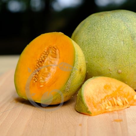 graine et semence Melon sucrin petit gris de Rennes