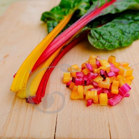 graine et semence Poirée à cardes multicolores