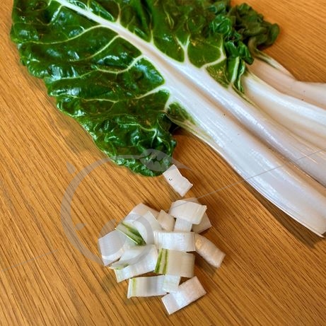 graine et semence Poirée verte à carde blanche