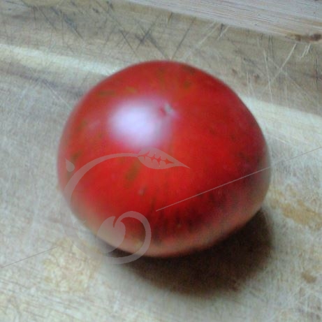 graine et semence Tomate zébrée cosmic eclipse