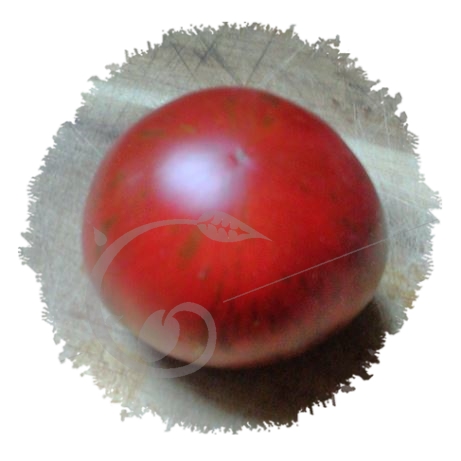 graine et semence Tomate zébrée cosmic eclipse