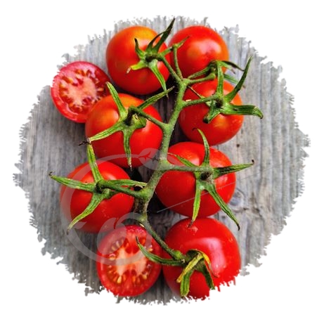 graine et semence Tomate de Berao rouge