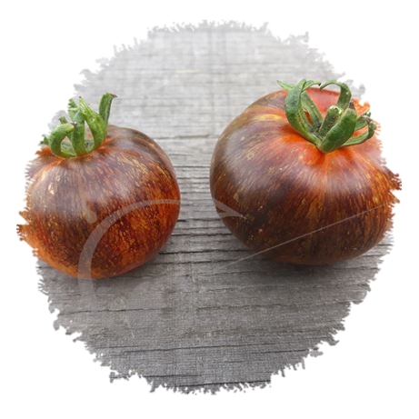 graine et semence Tomates indigo en mélange