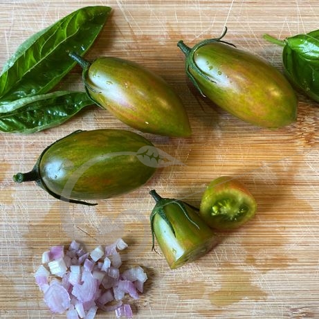 graine et semence Tomate Lucky tiger verte