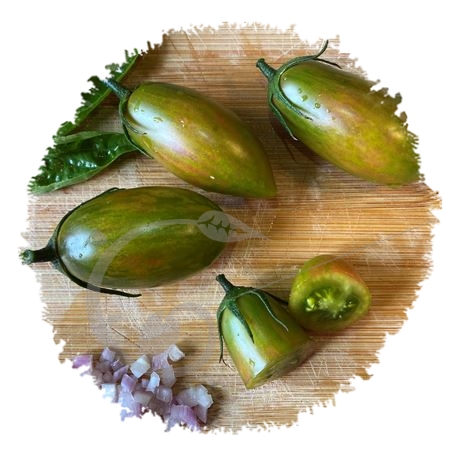 graine et semence Tomate Lucky tiger verte