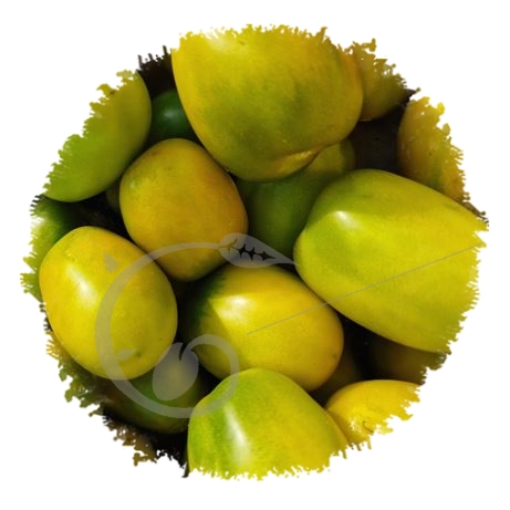 graine et semence Tomate prune verte